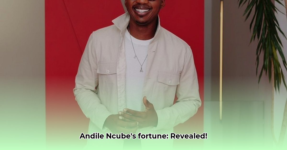 andile ncube net worth